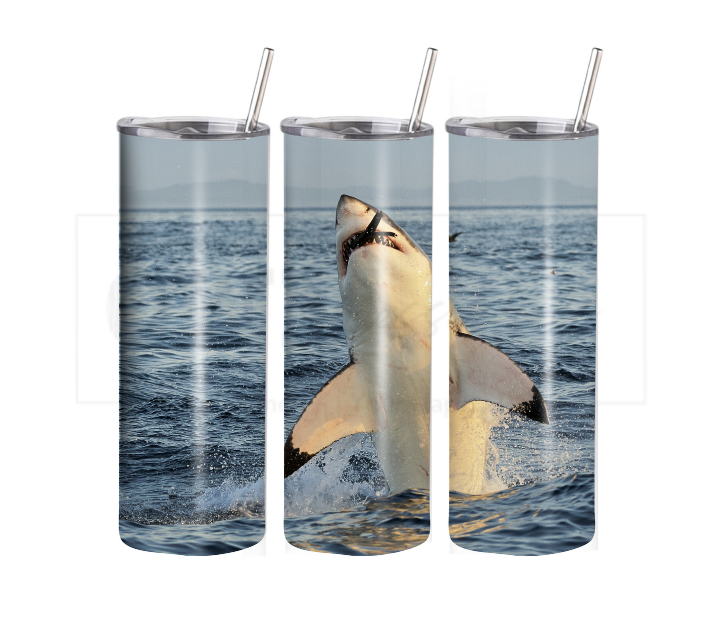Shark 20 oz Skinny Tumbler with Straw - Stainless Steel, Eco-Friendly, Reusable Metal Straw - Lid Drink Drinkware Water Bottles