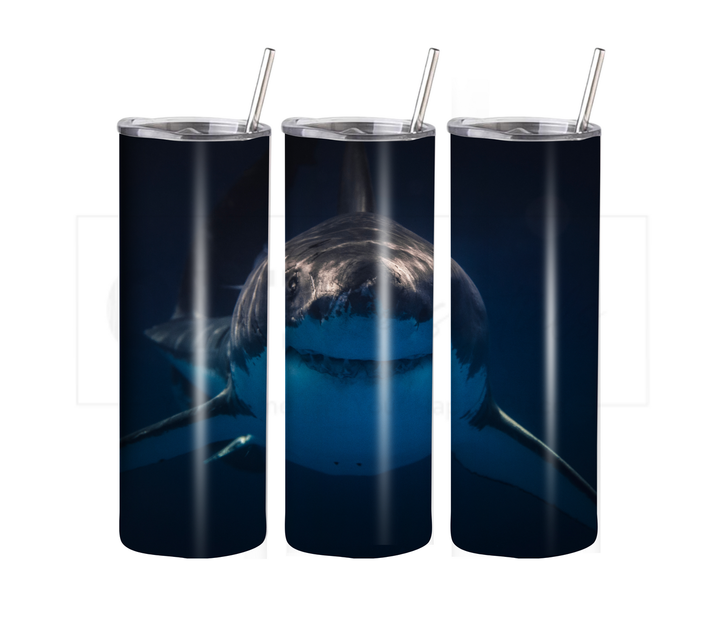 Shark 20 oz Skinny Tumbler with Straw - Stainless Steel, Eco-Friendly, Reusable Metal Straw - Lid Drink Drinkware Water Bottles