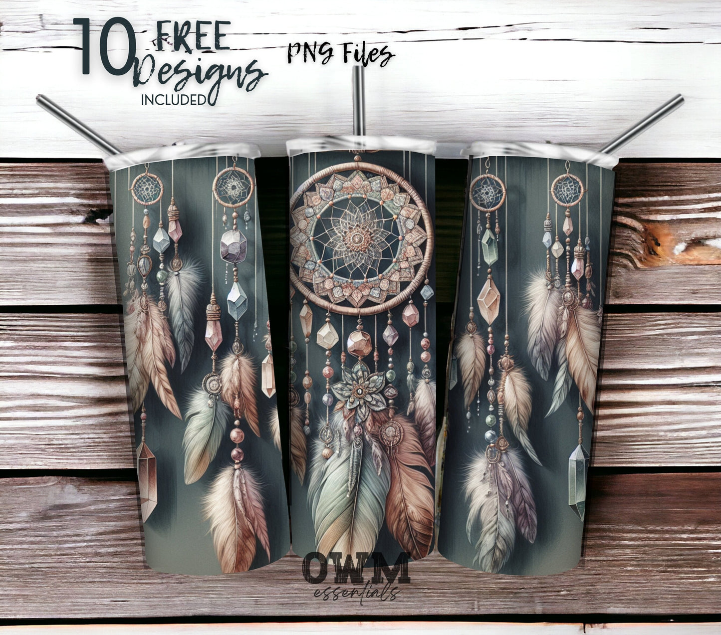 Boho Feathers & Moon 20 oz Skinny Tumbler Sublimation Design - PNG Instant - DIGITAL DOWNLOAD