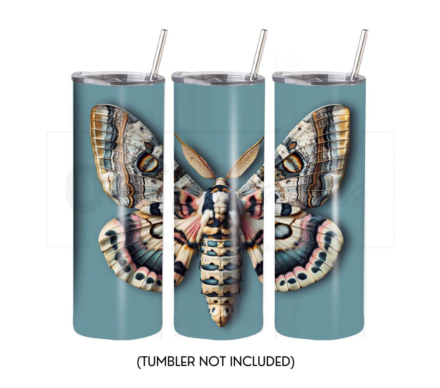 Moth 20 oz Skinny Tumbler Sublimation Design - PNG Instant - DIGITAL DOWNLOAD