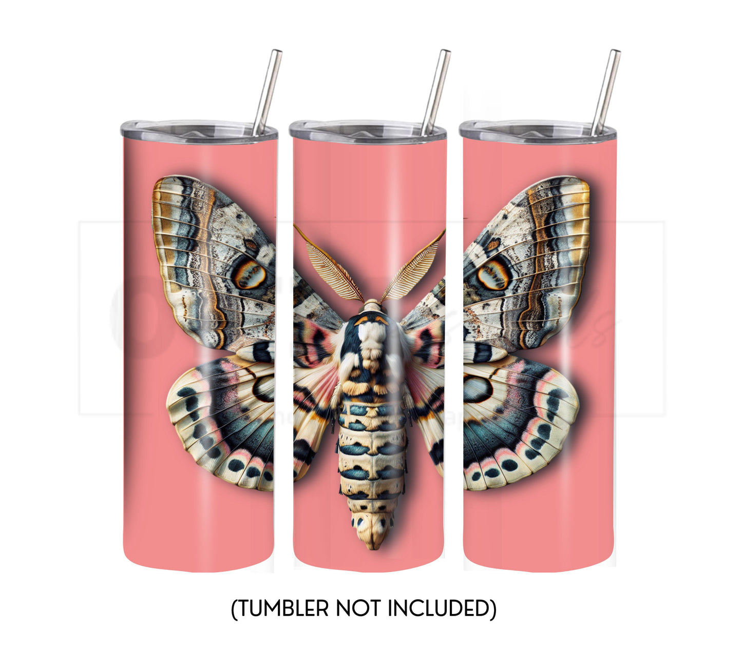 Moth 20 oz Skinny Tumbler Sublimation Design - PNG Instant - DIGITAL DOWNLOAD