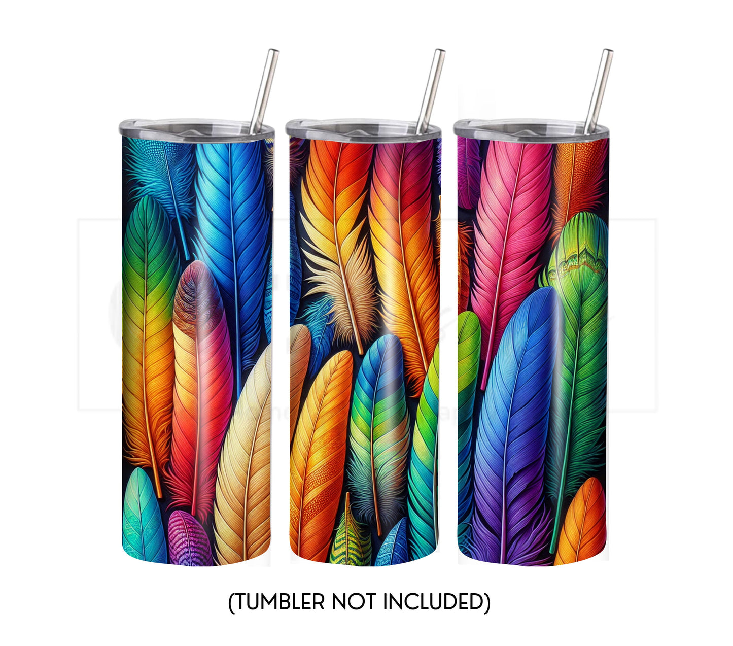 Boho Feathers 20 oz Skinny Tumbler Sublimation Design - PNG Instant - DIGITAL DOWNLOAD