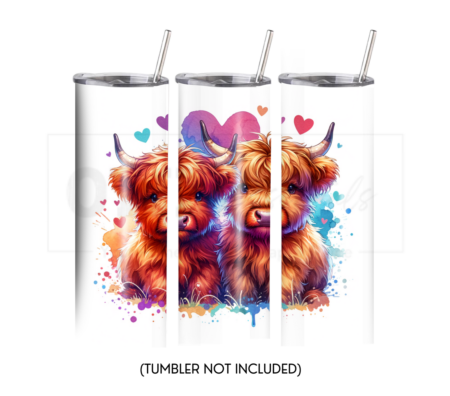 Highland Cow Hearts 20 oz Skinny Tumbler Sublimation Design - PNG Instant  - DIGITAL DOWNLOAD