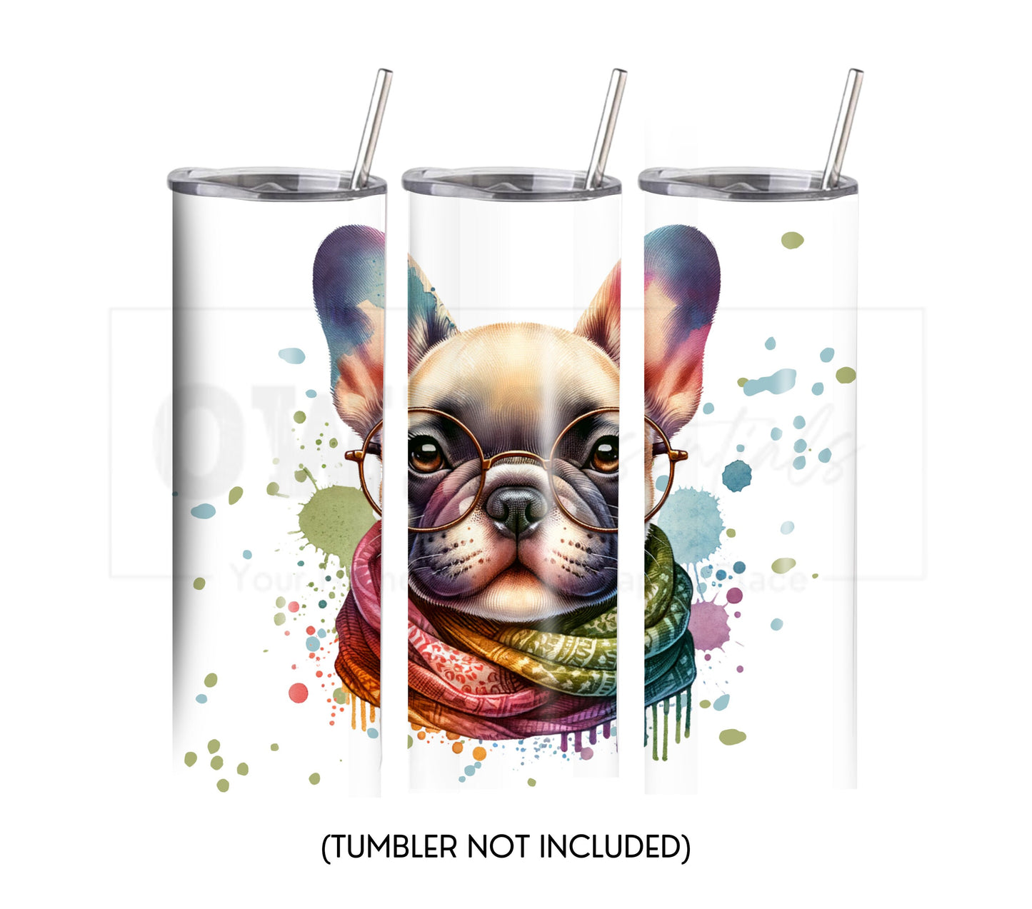 French BullDog 20 oz Skinny Tumbler Sublimation Design - PNG Instant  - DIGITAL DOWNLOAD