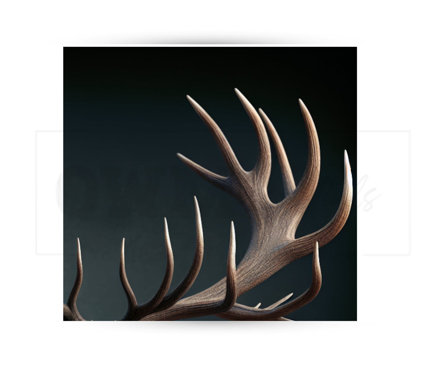 Deer 20 oz Skinny Tumbler Sublimation Design - PNG Instant  - DIGITAL DOWNLOAD