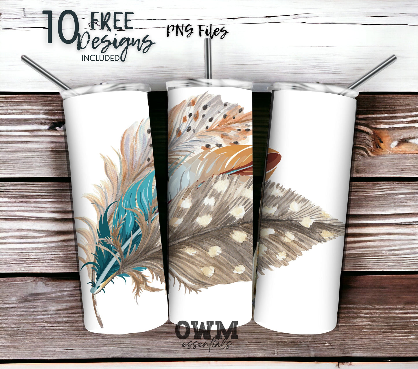 Boho Feathers 20 oz Skinny Tumbler Sublimation Design - PNG Instant  - DIGITAL DOWNLOAD