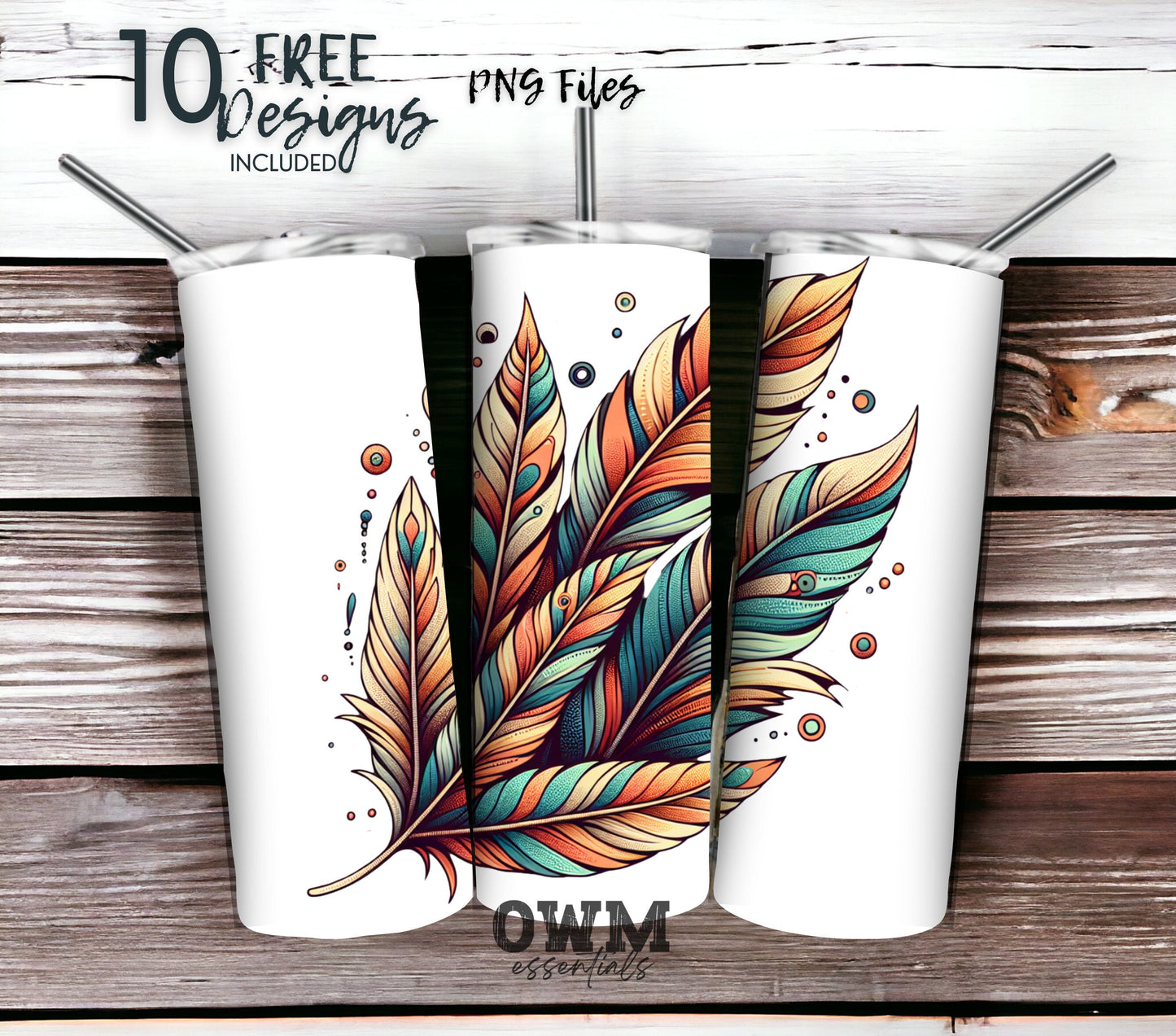 Boho Feathers 20 oz Skinny Tumbler Sublimation Design - PNG Instant  - DIGITAL DOWNLOAD
