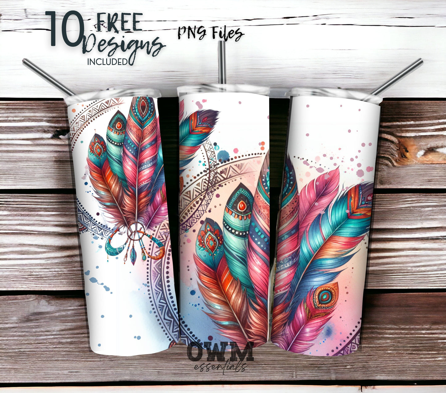 Boho Feathers 20 oz Skinny Tumbler Sublimation Design - PNG Instant  - DIGITAL DOWNLOAD