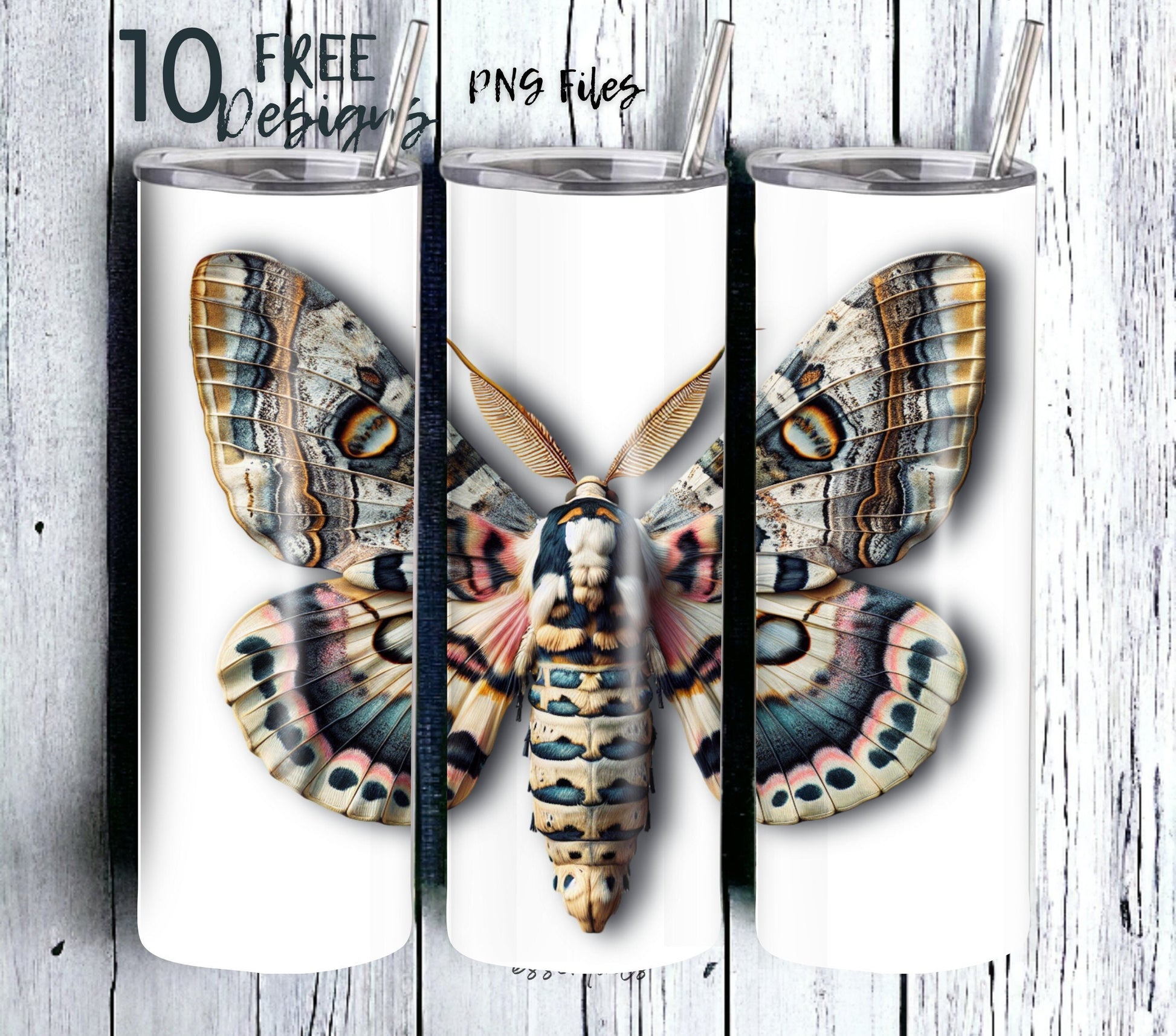 Deaths Head Hawk-Moth Tumbler sublimation design