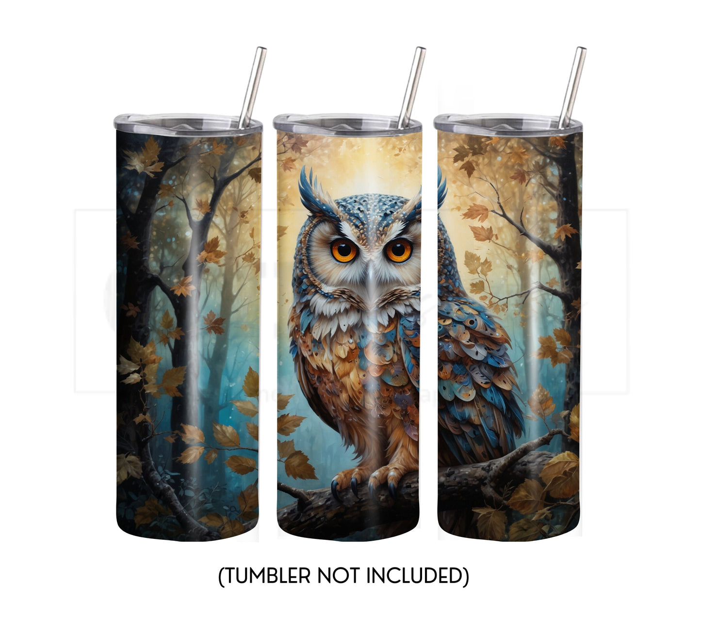 Owl 20 oz Skinny Tumbler Sublimation Design - PNG Instant  - DIGITAL DOWNLOAD