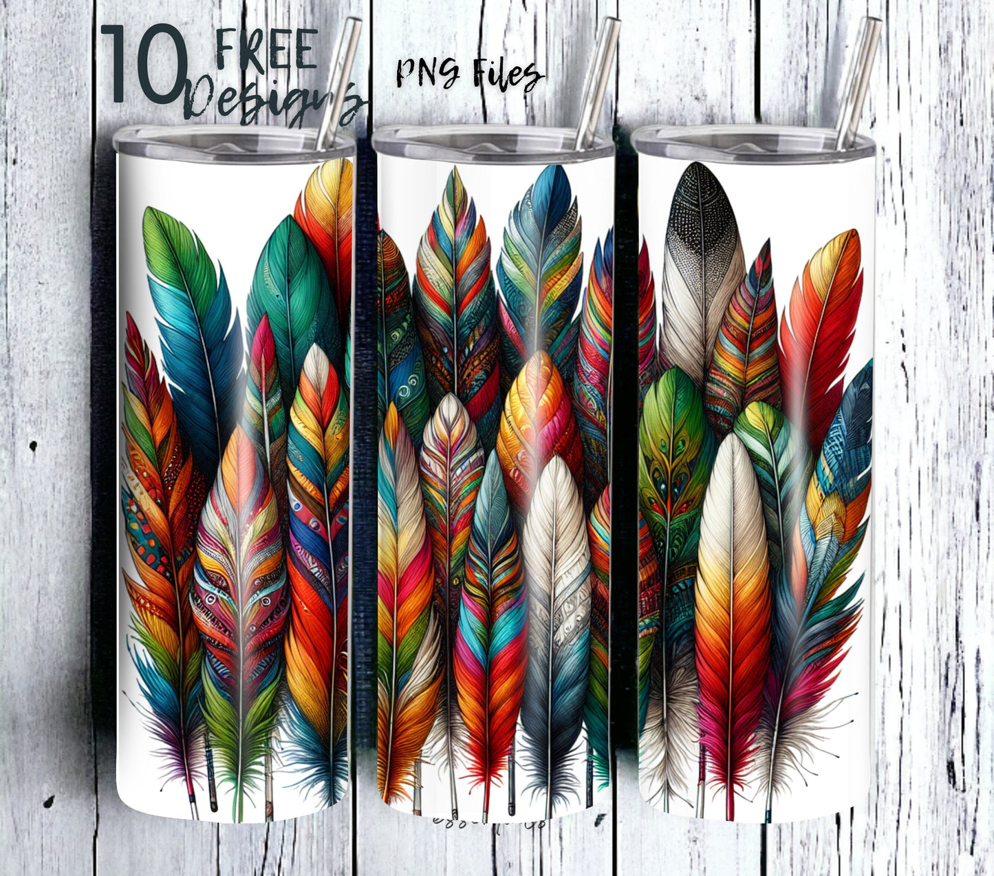 Boho Feathers 20 oz Skinny Tumbler Sublimation Design - PNG Instant  - DIGITAL DOWNLOAD